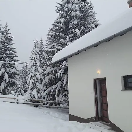 Markov Jahorina