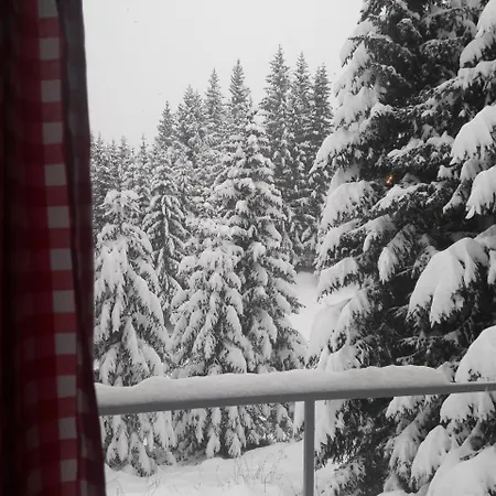 Markov Konak * Jahorina